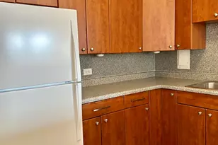 1451 E 55th St, Chicago, IL 60615 - Photo 4
