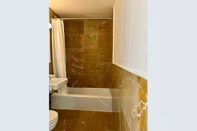 1451 E 55th Street #430N, Chicago, IL 60615 - Photo 8