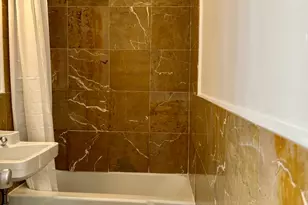 1451 E 55th St, Chicago, IL 60615 - Photo 8