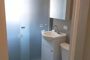 1064 W Thorndale Ave, Chicago, IL 60660 - Photo 4