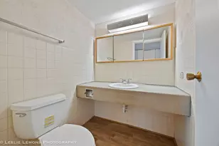 5525 E Lake Dr, Lisle, IL 60532 - Photo 12