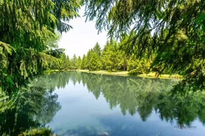 17519 Lincoln Road, Harvard, IL 60033 - Photo 48