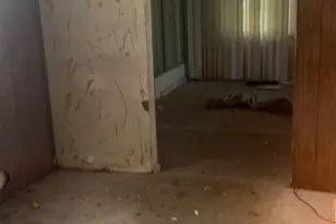 14919 Cooper Ave, Harvey, IL 60426 - Photo 4