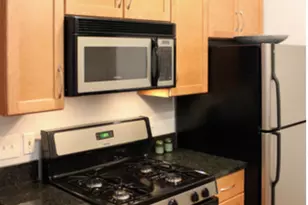 1451 N Artesian Ave, Chicago, IL 60622 - Photo 8