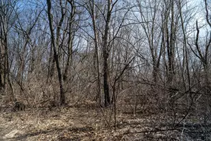 0 Holly Rd, Fulton, IL 61252 - Photo 24