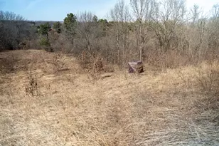 0 Holly Rd, Fulton, IL 61252 - Photo 26