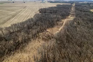 0 Holly Rd, Fulton, IL 61252 - Photo 54