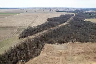 0 Holly Rd, Fulton, IL 61252 - Photo 6