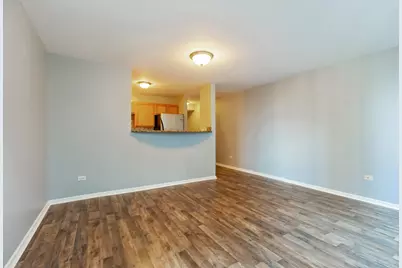 345 N La Salle Drive #1009, Chicago, IL 60654 - Photo 8