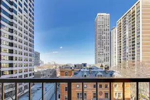 1450 N Astor St, Chicago, IL 60610 - Photo 18