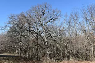 17539 E 2600 North Rd, Lexington, IL 61753 - Photo 86