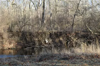 17539 E 2600 North Road, Lexington, IL 61753 - Photo 84