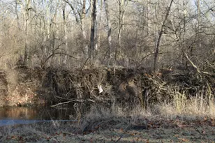 17539 E 2600 North Rd, Lexington, IL 61753 - Photo 84