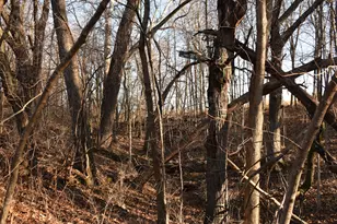 17539 E 2600 North Rd, Lexington, IL 61753 - Photo 94