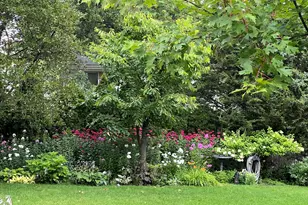 2142 Harrison St, Glenview, IL 60025 - Photo 56