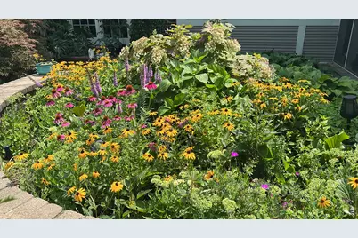 2142 Harrison Street, Glenview, IL 60025 - Photo 58