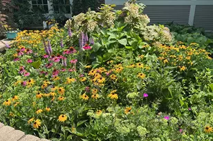 2142 Harrison St, Glenview, IL 60025 - Photo 58