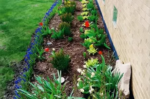 18547 Lexington Ave, Homewood, IL 60430 - Photo 28