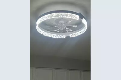 20067 Monterey Avenue, Lynwood, IL 60411 - Photo 16