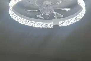 20067 Monterey Ave, Lynwood, IL 60411 - Photo 16