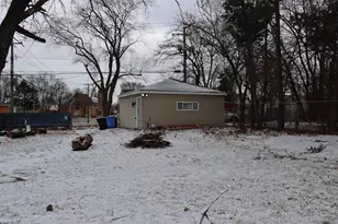 10009 S Beverly Ave, Chicago, IL 60643 - Photo 44