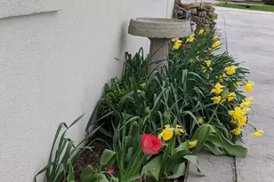 2829 Chippewa Dr, Bourbonnais, IL 60914 - Photo 22