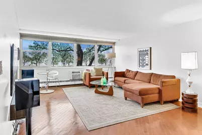 1150 N Lake Shore Drive #2B, Chicago, IL 60611 - Photo 4