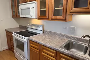 703 W Central Rd, Mount Prospect, IL 60056 - Photo 6