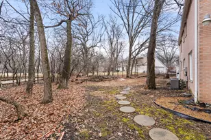 30 Strauss Ln, Olympia Fields, IL 60461 - Photo 44