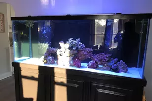 17917 Lorenz Ave, Lansing, IL 60438 - Photo 12