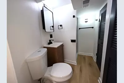 5251 S Hamlin Avenue, Chicago, IL 60632 - Photo 34