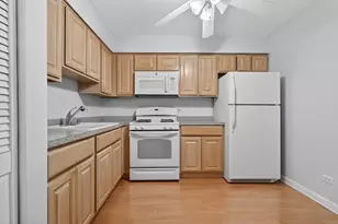 6670 S Brainard Ave, Countryside, IL 60525 - Photo 2