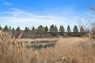 1135 Reserve Dr, Elgin, IL 60124 - Photo 2