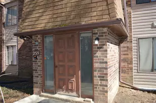 255 E Court of Shorewood, Vernon Hills, IL 60061 - Photo 1