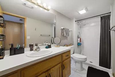 2665 Daniel Lewis Drive, New Lenox, IL 60451 - Photo 22