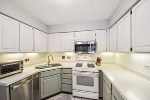 149 S Stonington Dr, Palatine, IL 60074 - Photo 14