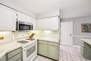 149 S Stonington Dr, Palatine, IL 60074 - Photo 12