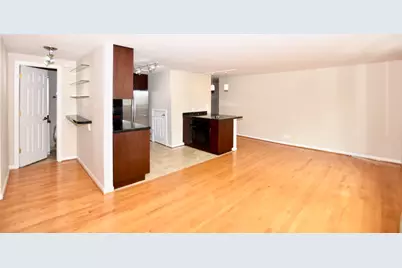 1221 N Dearborn Parkway #1404N, Chicago, IL 60610 - Photo 6