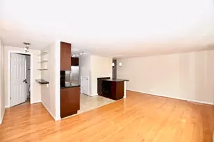 1221 N Dearborn Pkwy, Chicago, IL 60610 - Photo 6