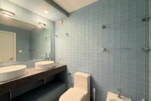 211 E Ohio St, Chicago, IL 60611 - Photo 24