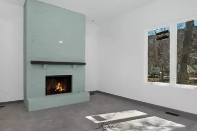 217 W Main Street, Lake Zurich, IL 60047 - Photo 44