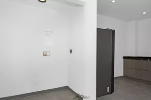 217 W Main St, Lake Zurich, IL 60047 - Photo 30