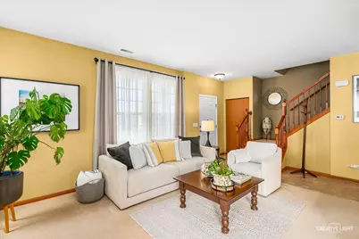 25463 Colligan Street, Manhattan, IL 60442 - Photo 4