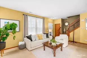 25463 Colligan St, Manhattan, IL 60442 - Photo 4