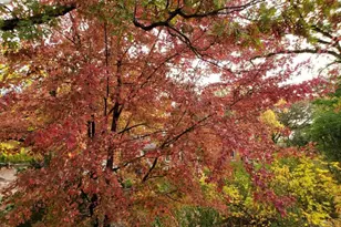 9215 S 83rd Ave, Hickory Hills, IL 60457 - Photo 22