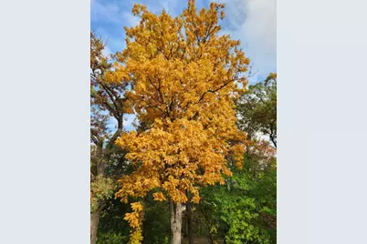 9215 S 83rd Avenue, Hickory Hills, IL 60457 - Photo 20