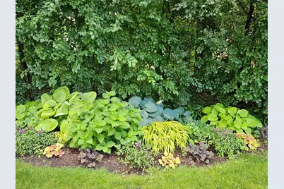 38 Ferndale Road, Deer Park, IL 60010 - Photo 48