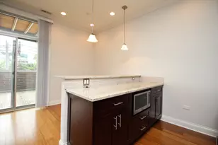 1609 W Warren Blvd, Chicago, IL 60612 - Photo 6