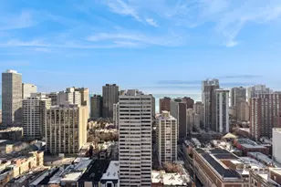 88 W Schiller St, Chicago, IL 60610 - Photo 18