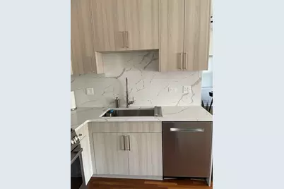 2862 N Woodard Street, Chicago, IL 60618 - Photo 14